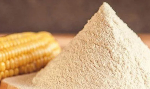 Maize Flour Supplier