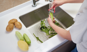 garbage disposals