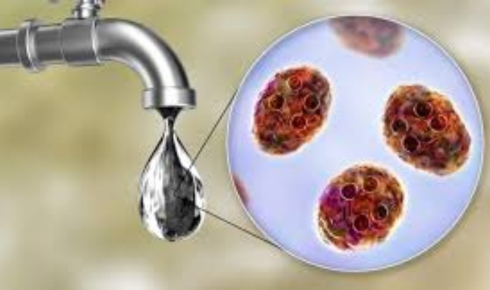 waterborne bacteria
